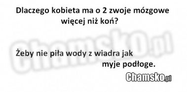 Kobieta a konik