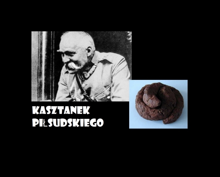 Kasztanek Pi?sudskiego