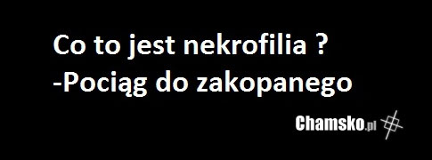 Nekrofilia
