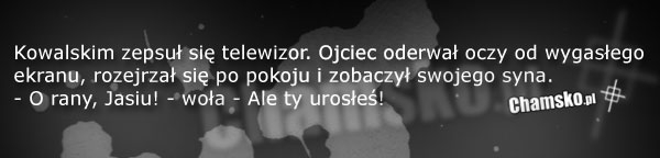 Telewizor