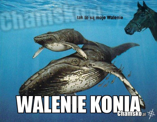 walenie