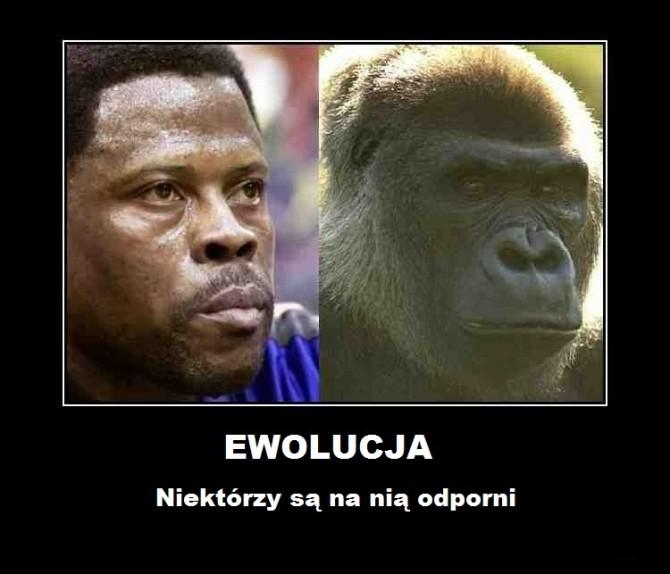 Ewolucja