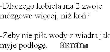 Kobieta a ko?