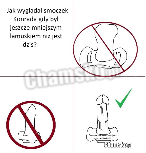 Konradzkie zycie. Dziecinstwo