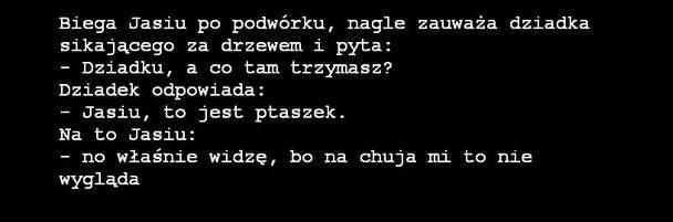 Ptaszek