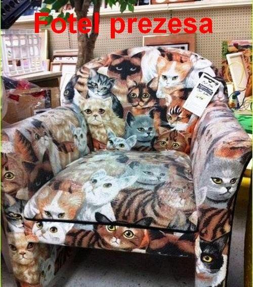 Prezes K.