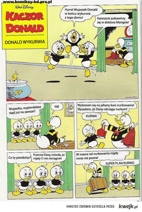 Daisy Obci?ga
