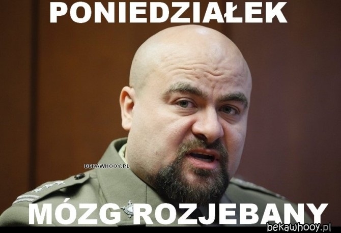 mózg rozjebany