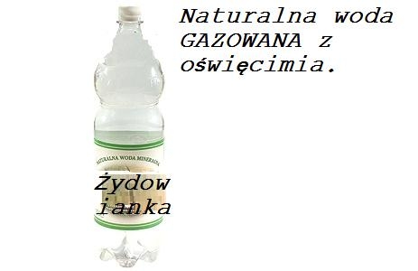 Adolf Hitler poleca: