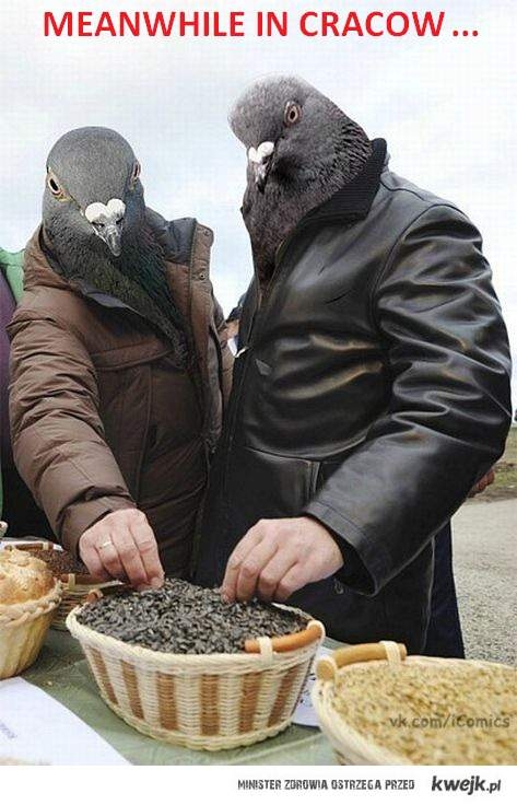 krakowiacy