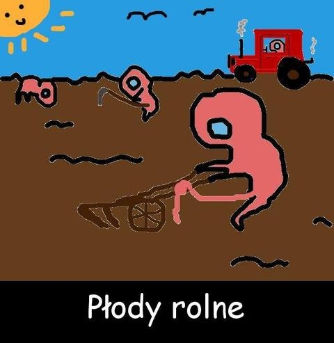 plody rolne
