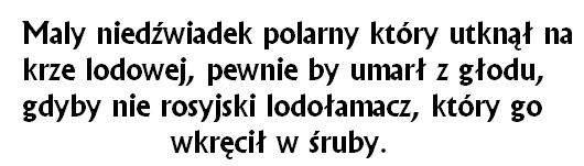 Nied?wiadek