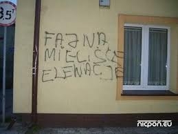 elewacja