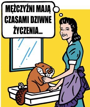 Ogól bobra!