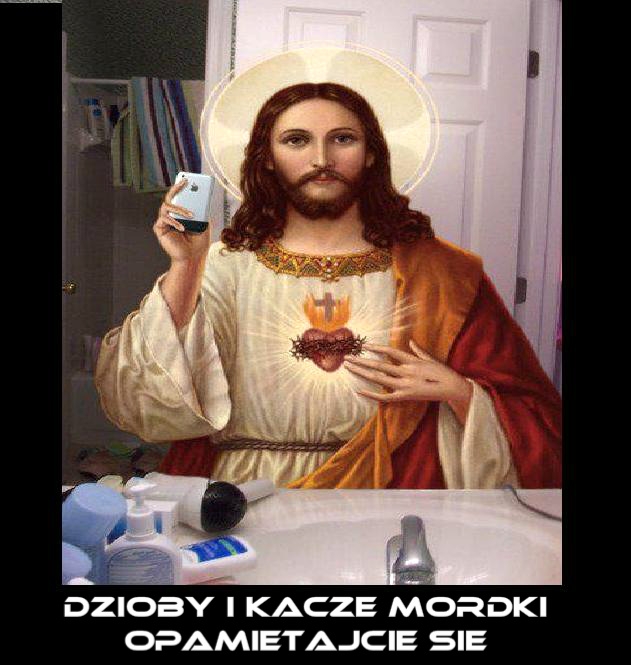 Dzioby i kacze mordki