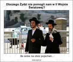 egoi?ci