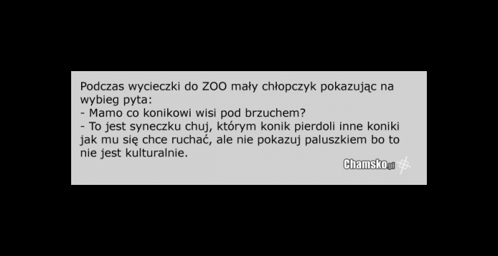 Wycieczka do ZOO