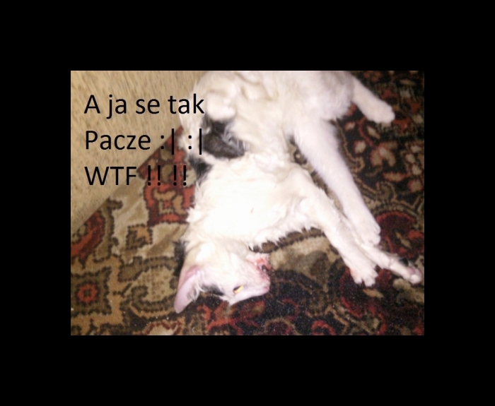 A ja Na co tak Pacze :| :|