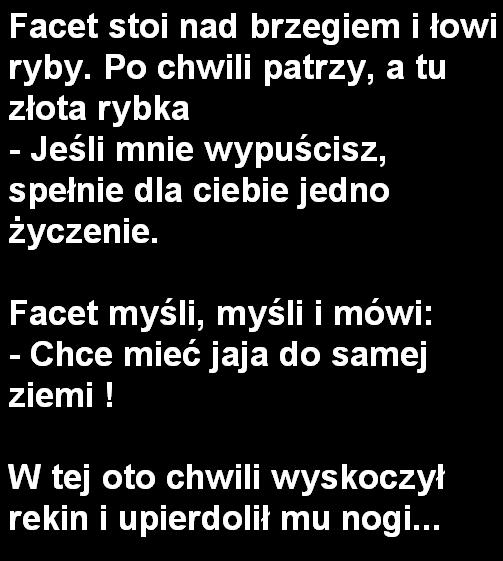 Z?ota Rybka