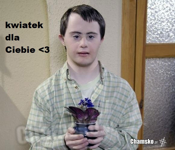 Maciek