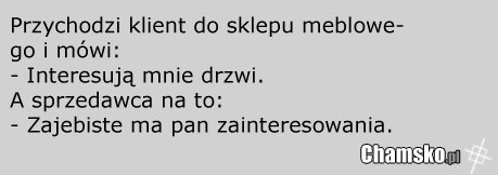 Zainteresowania
