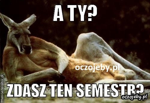 semestr