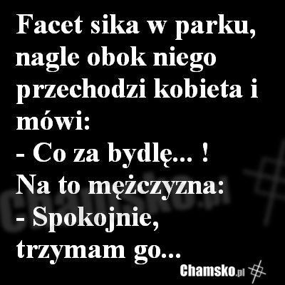W parku