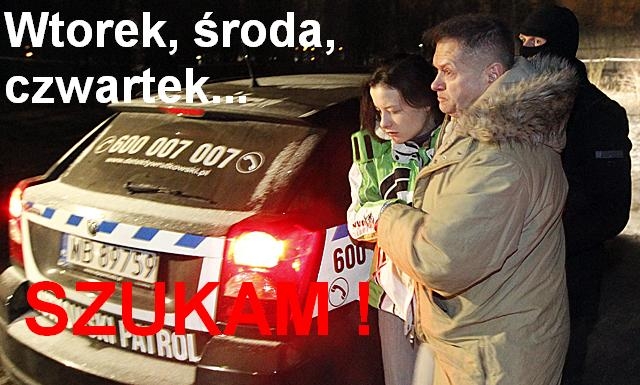 szukam!