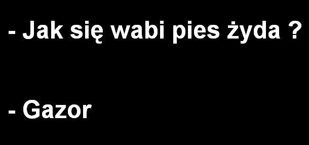 Pies