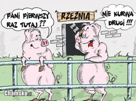 Pierwszy raz tutaj?