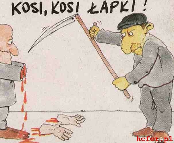Kosi Kosi ?apki