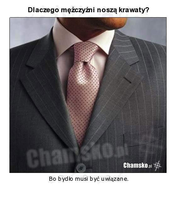 Dlaczego?