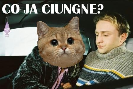 Co ja ciungne?