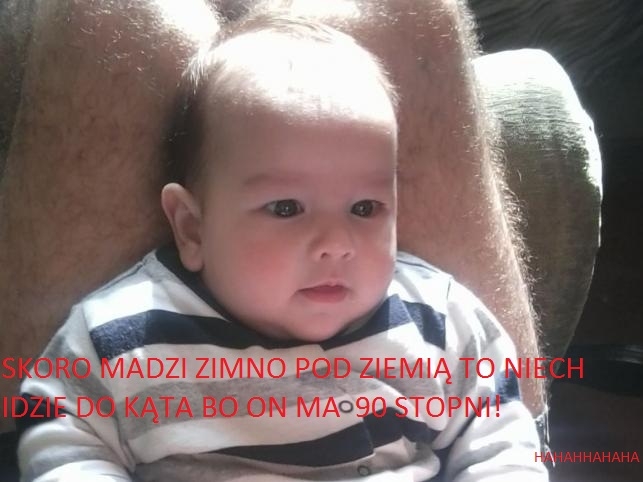 Madzia