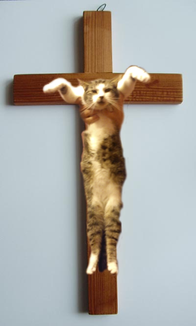 Koci Jezus
