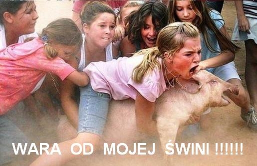 TO MOJA ?WINIA!!!!!!