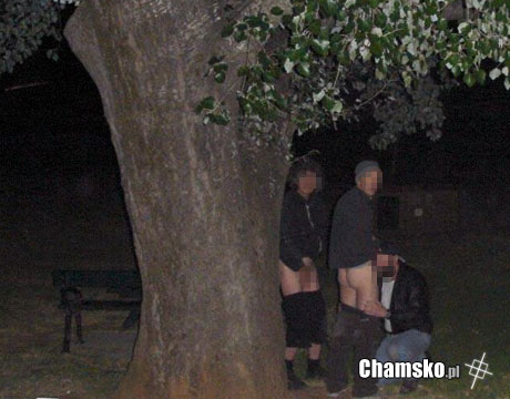 trio