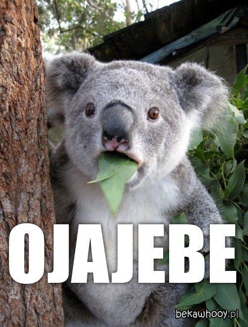ojajebie