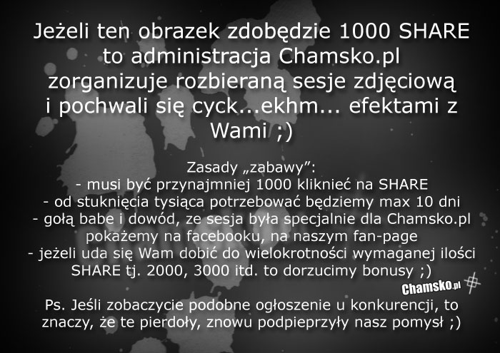 Konkurs, og?oszenie, cycki! ; )