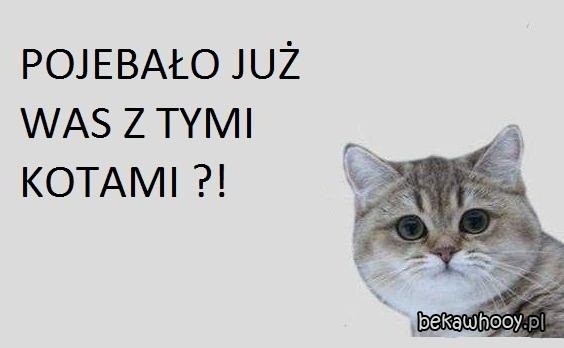 Co ja pszekilnam