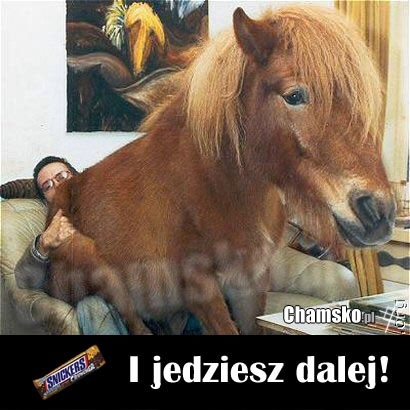 Snikers