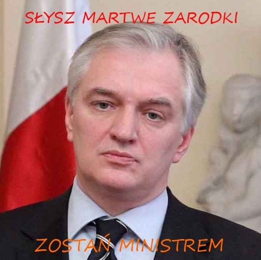 Jaros?aw Gowin