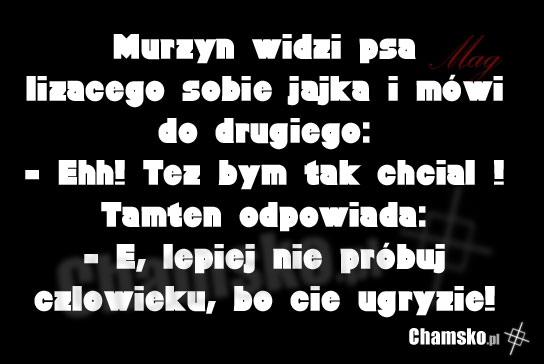 Jajka