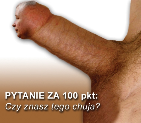 p;ytanie za 100
