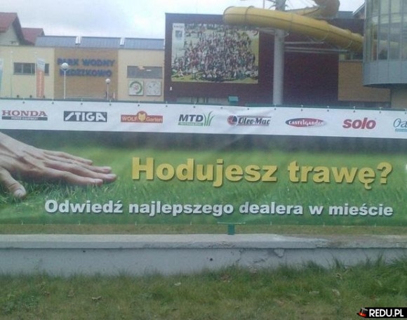 TRAWKA!