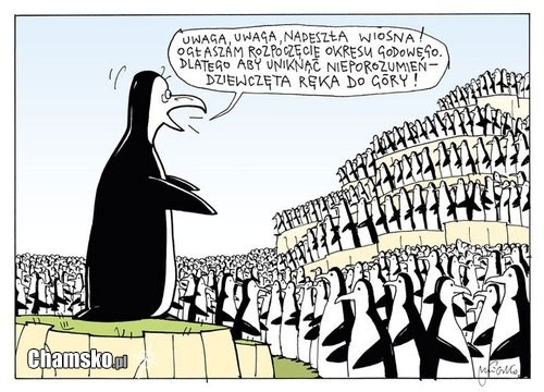Okres godowy
