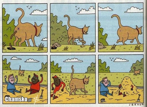Kotek